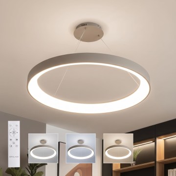 BRILAGI - LED Регульований підвісний світильник на тросі FALCON II LED/108W/230V 3000-6500K діаметр 80 см бежевий + пульт дистанційного керування