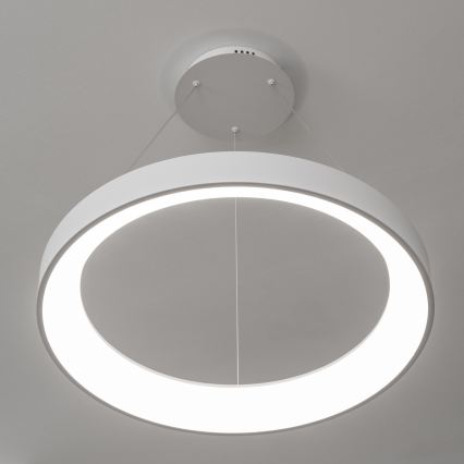 Brilagi - LED регульована люстра на тросі FALCON II LED/99W/230V 3000-6500K діам. 60 см біла + дистанційне керування