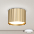 BRILAGI - LED RGB+CCT димований точковий світильник STRIPY 1xGX53/14W/230V 60x82 mm 2700-6500K Wi-Fi Tuya золотий