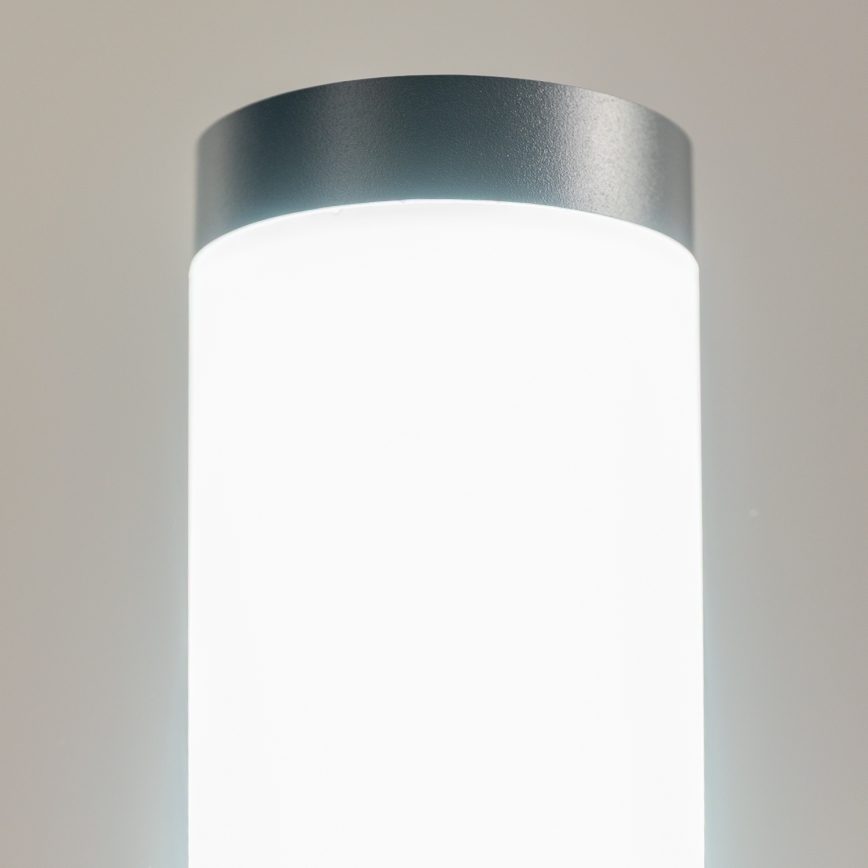 BRILAGI - LED RGBW диммируемая уличная лампа ELIA 1xE27/6,5W/230V 2700-6500K IP44 Wi-Fi 100 см антрацит