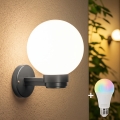 BRILAGI - LED RGBW затемнюваний вуличний настінний світильник HARBOR 1xE27/12W/230V 2700-6500K IP33 антрацит/білий