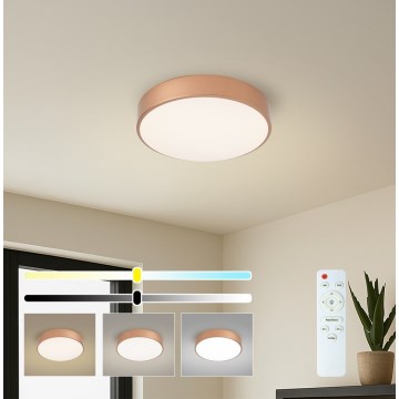 BRILAGI - LED стельний світильник із регульованою яскравістю POOL LED/36W/230V 3000-6000K, діаметр 30 см, бронзовий + пульт дистанційного керування