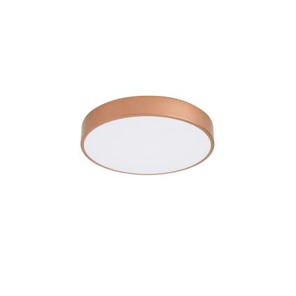 BRILAGI - LED стельний світильник POOL LED/48W/230V 3000/4000/6000K діаметр 40 см мідного кольору