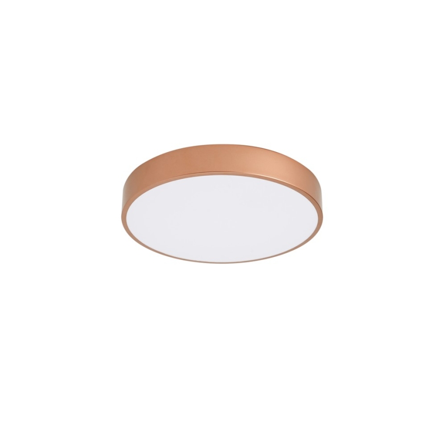 BRILAGI - LED стельний світильник POOL LED/48W/230V 3000/4000/6000K діаметр 40 см мідного кольору