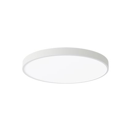Brilagi - LED стельний світильник POOL LED/60W/230V 3000/4000/6000K 50 см білий