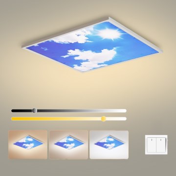 Brilagi - LED стельний світильник SLIMFRAME LED/58W/230V 60x60 см сріблястий/синій
