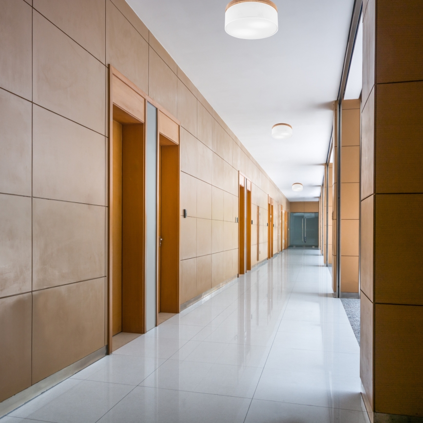 Brilagi - Світлодіодний стельовий світильник BELLADONNA 2xE27/15W/230V діам. 40 см білий/дуб