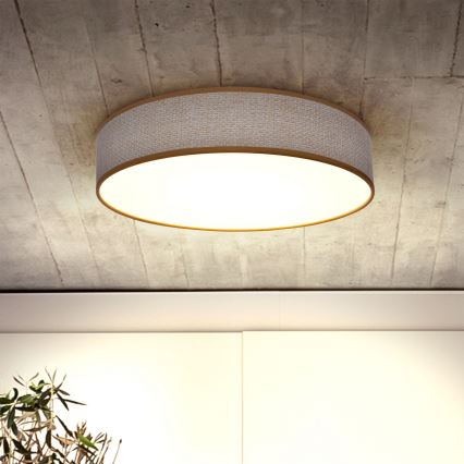 Brilagi - Світлодіодний регульований стельовий світильник CARMEN LED/48W/230V 3000-6500K діам. 40 см + дистанційне керування
