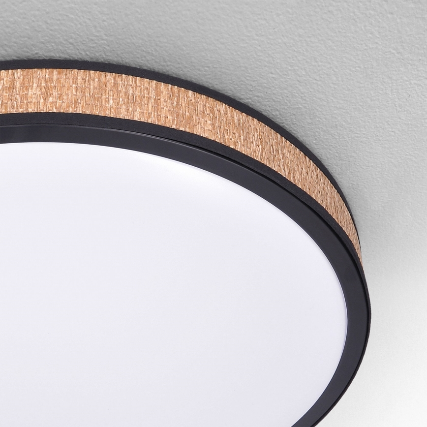 Brilagi - Світлодіодний регульований стельовий світильник ROSA LED/48W/230V 3000-6500K діам. 38 см + дистанційне керування