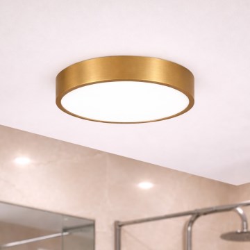 Брілагі - LED стельовий світильник для ванної POOL LED/24W/230V 3000/4000/5500K діам. 30 cm IP54 бронза