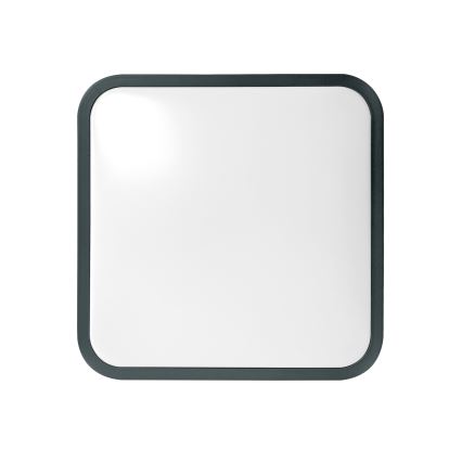 Брілагі - LED стельовий світильник для ванної кімнати з датчиком ZENNA LED/24W/230V 34,5x34,5 cm IP44 антрацит + пульт дистанційного керування