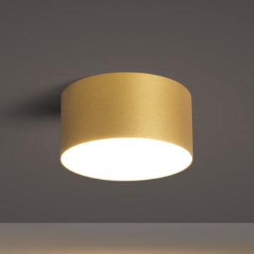 BRILAGI - LED стельовий світильник для ванної кімнати FORIS LED/14W/230V, діаметр 12 см, золотий IP44