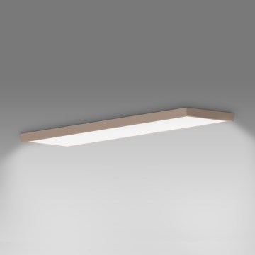 Brilagi - LED стельовий світильник для ванної кімнати FRAME LED/50Вт/230В 120x30 см IP44 бежевий