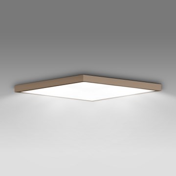 Brilagi - LED стельовий світильник для ванної кімнати FRAME LED/50W/230V 60x60 cm IP44 бежевий