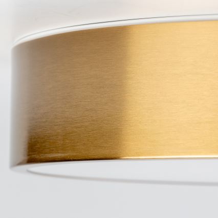 Брілагі - LED стельовий світильник для ванної POOL LED/24W/230V 3000/4000/5500K діам. 30 cm IP54 бронза