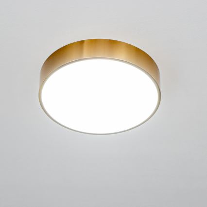 Брілагі - LED стельовий світильник для ванної POOL LED/24W/230V 3000/4000/5500K діам. 30 cm IP54 бронза