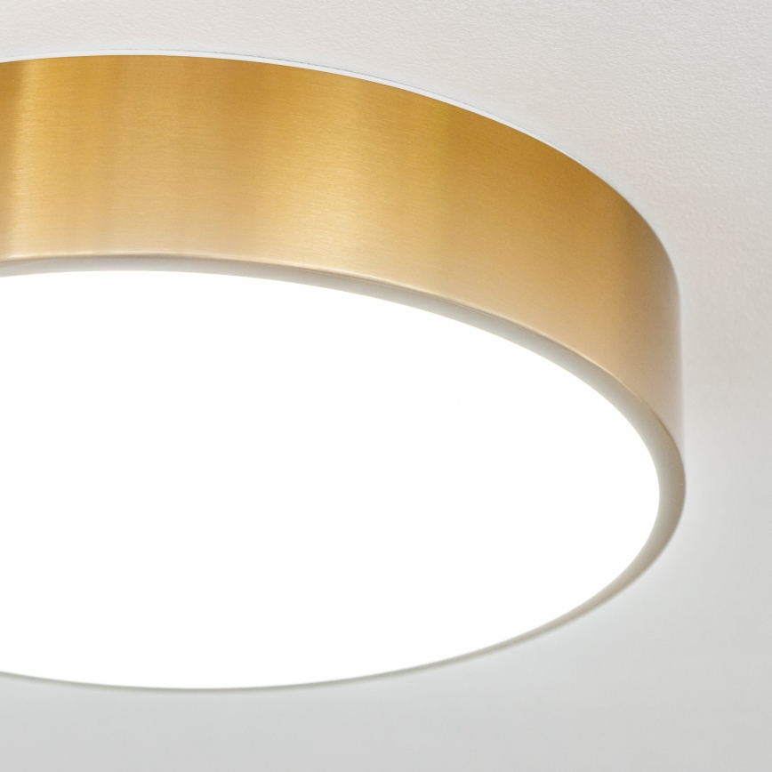 Брілагі - LED стельовий світильник для ванної POOL LED/24W/230V 3000/4000/5500K діам. 30 cm IP54 бронза