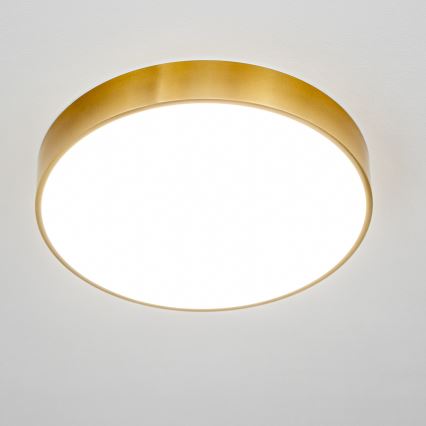 Brilagi - LED стельовий світильник для ванної кімнати POOL LED/36W/230V 3000/4000/5500K діаметр 40 см IP54 бронзовий