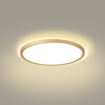 Brilagi - LED стельовий світильник для ванної кімнати ULTRA SLIM LED/18W/230V діаметр 30 см золотистий IP54