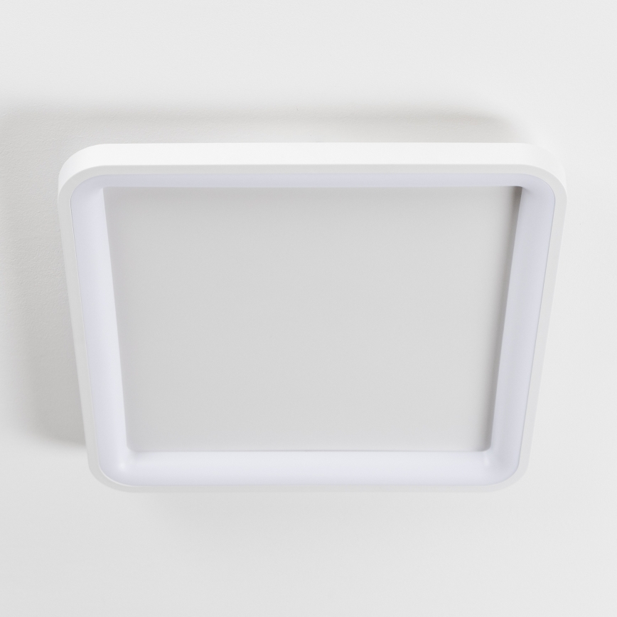 Brilagi - LED димований стельовий світильник FALCON SLIM LED/50W/230V 3000-6500K 50x50 cm білий + пульт дистанційного керування