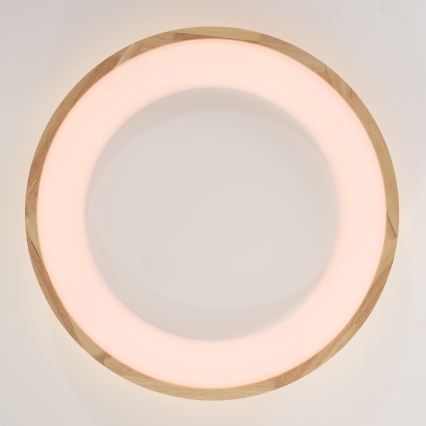 Brilagi - LED стельовий світильник FALCON WOOD LED/40W/230V 3000/4000/6000K діам. 60 см дерев'яний