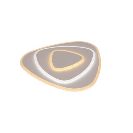 Brilagi - LED стельовий світлодіодний світильник з можливістю затемнення MODERN LED/58W/230V 3000-6000K 47x48,5 cm+ пульт дистанційного керування