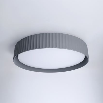 Brilagi - Регульований стельовий світильник LUCIA LED/48W/230V 3000-6500K, діаметр 41 см, сірий + пульт дистанційного керування
