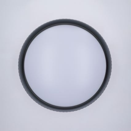 Brilagi - Регульований стельовий світильник LUCIA LED/48W/230V 3000-6500K, діаметр 41 см, сірий + пульт дистанційного керування