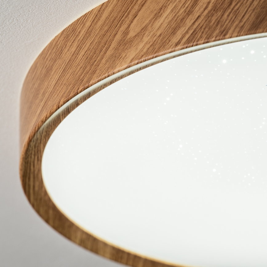 BRILAGI - LED стельовий світильник NATURA LED/12 Вт/230 В, 4000 К, діам. 26,3 см