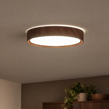 BRILAGI - LED стельовий світильник NATURA LED/12W/230V 4000K діам. 26,3 см