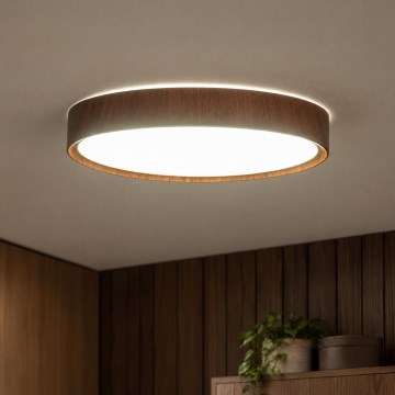 BRILAGI - LED стельовий світильник NATURA LED/20W/230V 4000K діам. 33,7 см