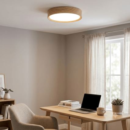 BRILAGI - LED стельовий світильник NATURA LED/24W/230V 4000K діам. 38,3 см