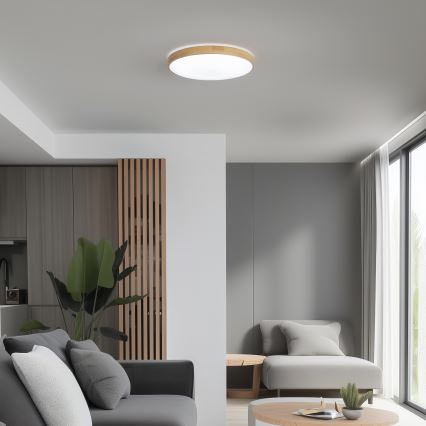 Brilagi - LED стельовий світильник з регульованою яскравістю PINE LED/24W/230V, діаметр 42 см, 3000-6500K + пульт дистанційного керування