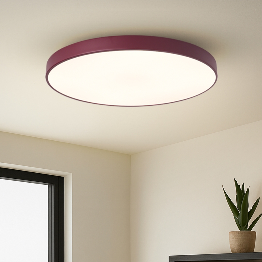 Brilagi - LED стельовий світильник POOL LED/100W/230V 3000/4000/6000K діаметр 80 см бордовий