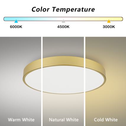 BRILAGI - LED стельовий світильник POOL, 100 Вт, 230 В, 3000/4000/6000 К, діаметр 80 см, золотий