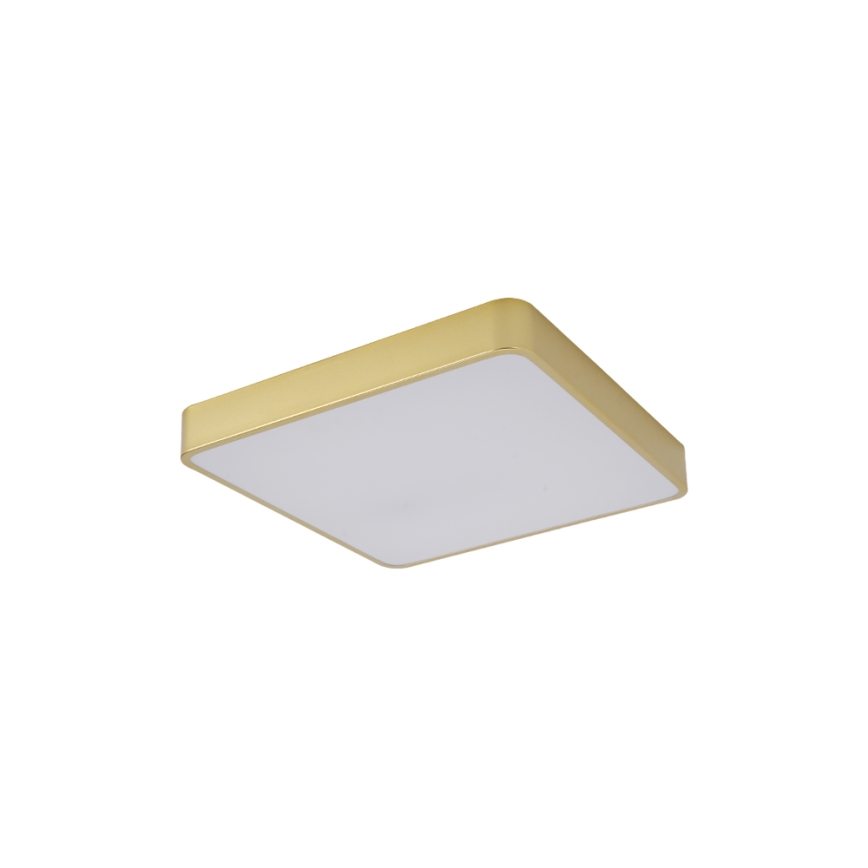 Brilagi - LED стельовий світильник POOL LED/36W/230V 3000/4000/6000K 40x40 см золотистий