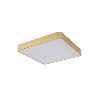 Brilagi - LED-стельовий світильник POOL LED/48 Вт/230 В 3000/4500/6000 К 50x50 см золотистий
