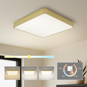 Brilagi - LED стельовий світильник POOL LED/48W/230V 3000/4000/6000K 50x50 см золотий