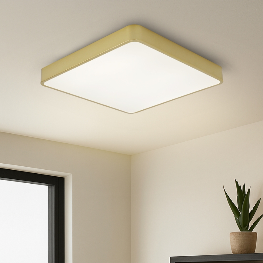 Brilagi - LED стельовий світильник POOL LED/48W/230V 3000/4000/6000K 50x50 см золотий