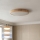 Brilagi - LED стельовий світильник POOL LED/48W/230V 3000/4000/6000K діам. 40 см декор під дерево
