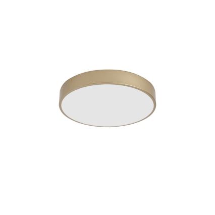 BRILAGI - LED стельовий світильник POOL LED/48W/230V 3000/4000/6000K Ø 40 см золотий