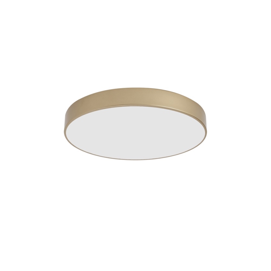 BRILAGI - LED стельовий світильник POOL LED/60W/230V 3000/4000/6000K діаметр 50 cm золотистий