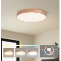 BRILAGI - LED стельовий світильник POOL LED/60W/230V 3000/4000/6000K pr. 60 cm мідного кольору