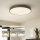 Brilagi - LED стельовий світильник POOL LED/60W/230V 3000-6000K діаметром 50 см зелений + пульт дистанційного керування