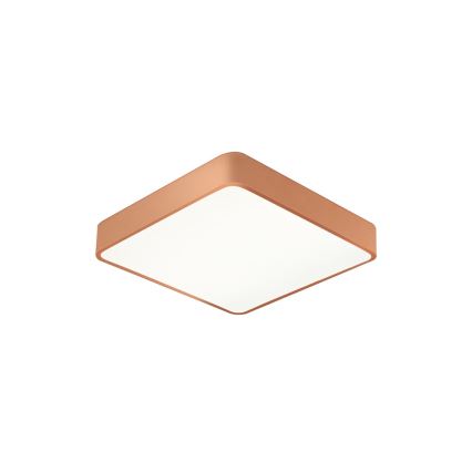 BRILAGI - LED стельовий світильник POOL SQUARE LED/48W/230V 3000/4000/6000K 50x50 cm мідного кольору