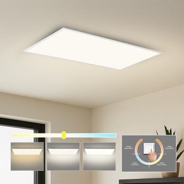 Brilagi - LED стельовий світильник SLIMFRAME LED/80W/230V 120x60 см 3000/4000/6000K білий