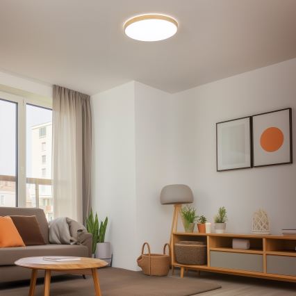 Brilagi - LED димований стельовий світильник PINE LED/60W/230V діам. 52 см 3000-6500K + пульт дистанційного керування