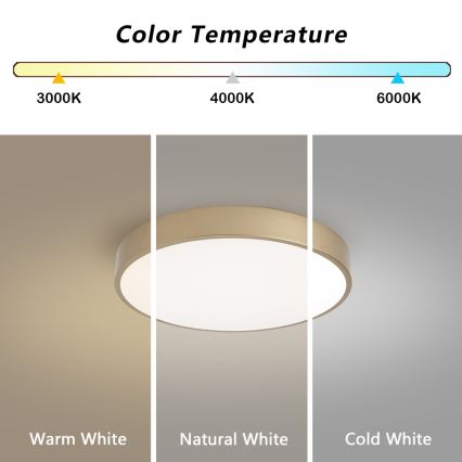 BRILAGI - LED стельовий світильник POOL LED/48W/230V 3000-6000K з регулюванням яскравості, діаметром 40 см, золотистий + дистанційне керування