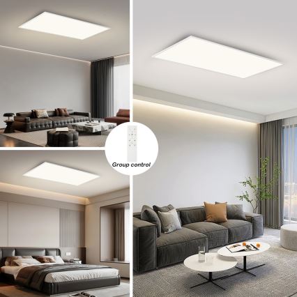 Brilagi - LED димований стельовий світильник SLIMFRAME LED/80W/230V 120x60 cm 3000-6000K білий + пульт дистанційного керування