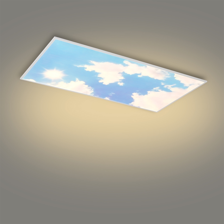 Brilagi - LED стельовий світильник з регулюванням яскравості SLIMFRAME SKY LED/80W/230V 120x60 cm 3000-6000K сріблястий/синій + дистанційне керування